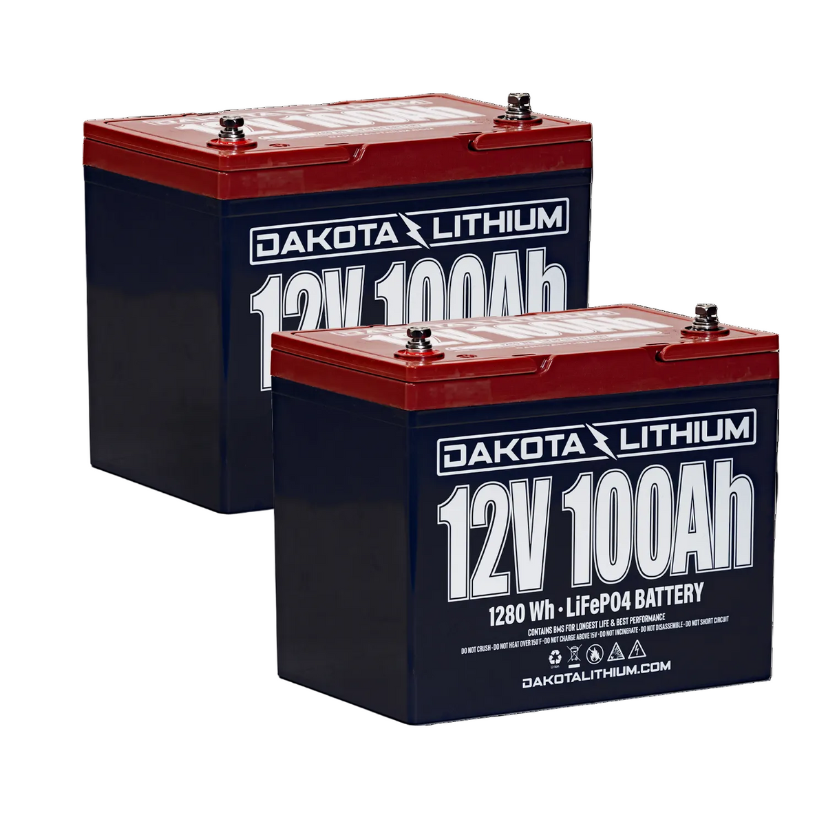 Dakota Lithium 24V 100Ah LiFePO4 battery set with two 12V 100Ah batteries