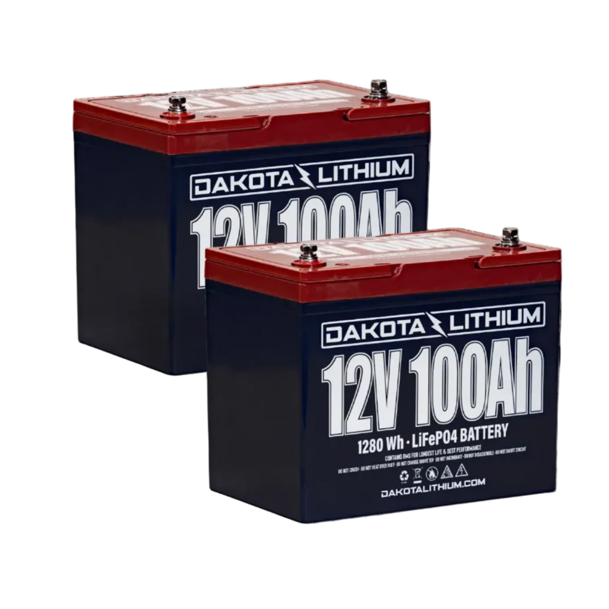 Dakota Lithium 12V 100Ah LiFePO4 batteries for solar backup system